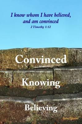 Book cover for Believing Knowing Convinced