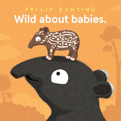 Book cover for Wild About Babies