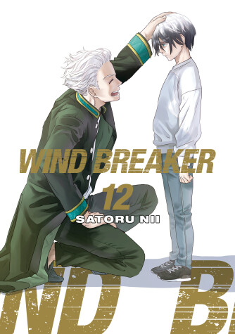 Cover of WIND BREAKER 12