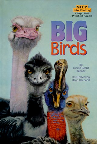Book cover for Big Birds