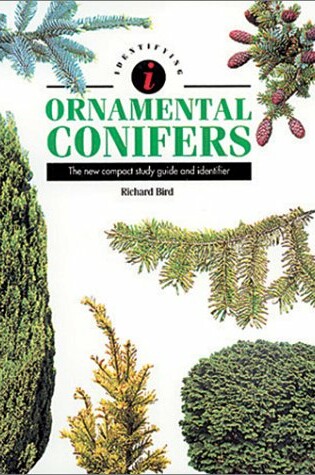 Cover of Identifying Ornamental Conifers : the New Compact Study Guide and Identifier