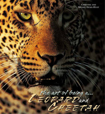 Cover of Leopards and Cheetahs