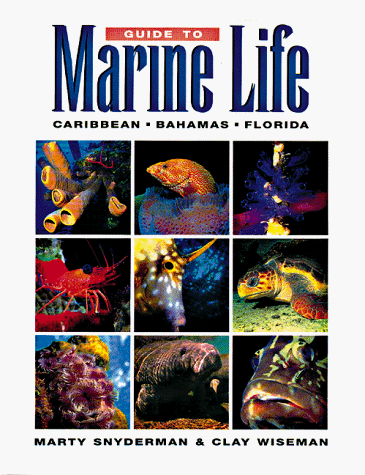 Book cover for Guide to Marine Life of the Caribbean, Bahamas and Florida