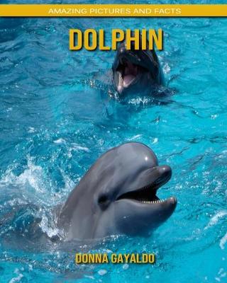 Book cover for Dolphin