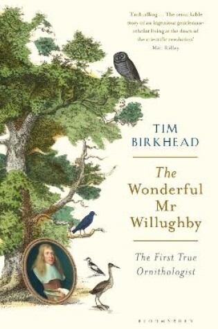 Cover of The Wonderful Mr Willughby