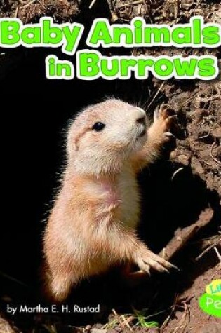 Cover of Baby Animals in Burrows (Baby Animals and Their Homes)