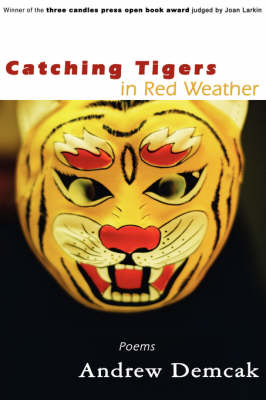 Book cover for Catching Tigers in Red Weather