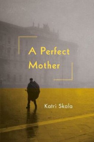 Cover of A Perfect Mother