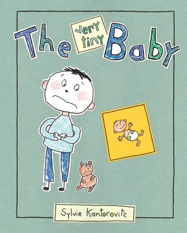 Book cover for The Very Tiny Baby