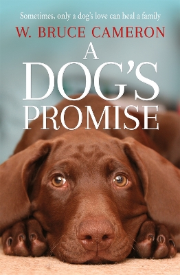 Book cover for A Dog's Promise