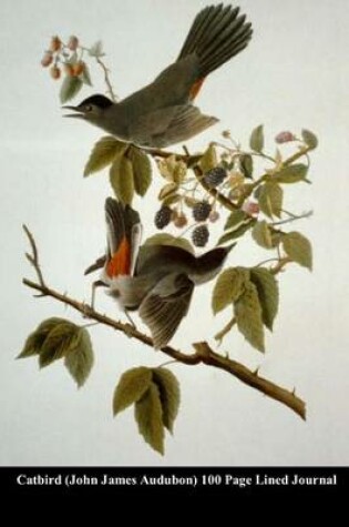 Cover of Catbird (John James Audubon) 100 Page Lined Journal