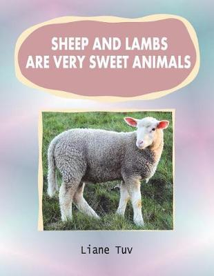 Cover of Sheep and lambs are very sweet animals