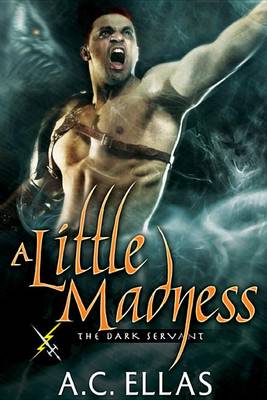 Book cover for A Little Madness