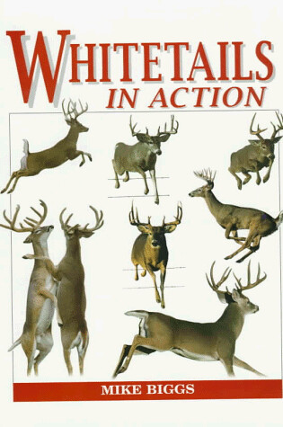Cover of Whitetails in Action
