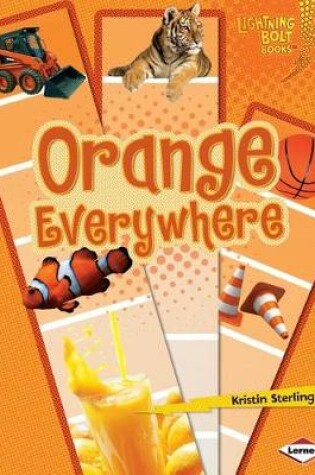 Cover of Orange Everywhere