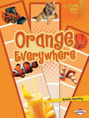 Book cover for Orange Everywhere