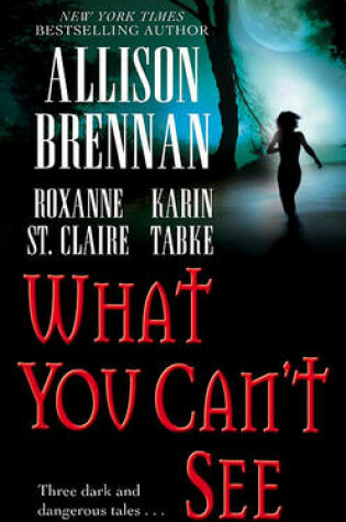 Cover of What You Can't See