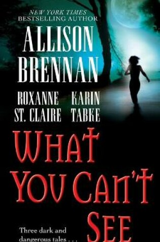 Cover of What You Can't See