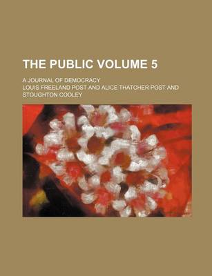 Book cover for The Public Volume 5; A Journal of Democracy