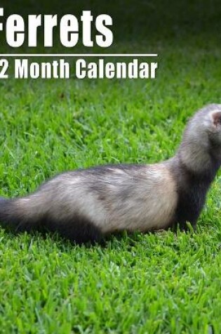 Cover of Calendrier 2021 Ferrets