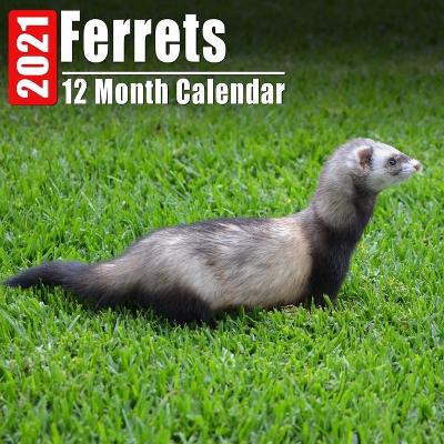 Book cover for Calendrier 2021 Ferrets