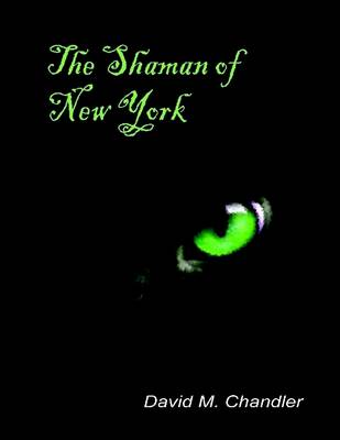 Book cover for The Shaman of New York