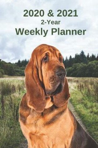 Cover of 2020 & 2021 Weekly Planner - Two Year Appointment Book Gift - Two-Year Agenda Notebook for Bloodhound Dog Owners