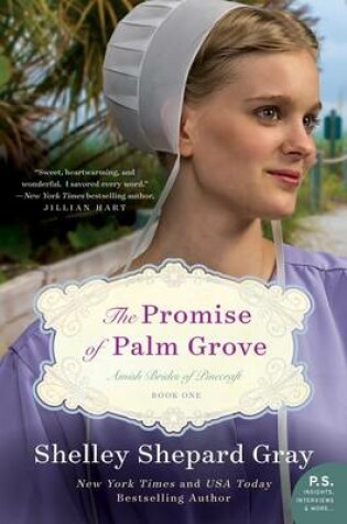 Cover of The Promise of Palm Grove
