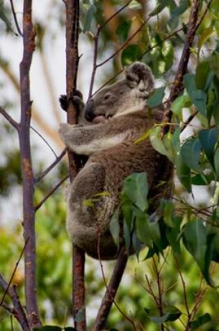 Cover of Koala Bear Animal Journal