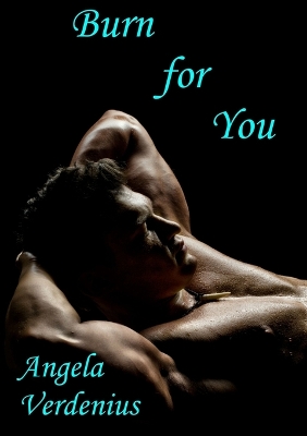 Book cover for Burn for You