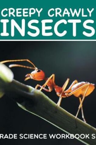 Cover of Creepy Crawly Insects