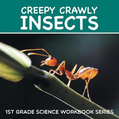 Book cover for Creepy Crawly Insects
