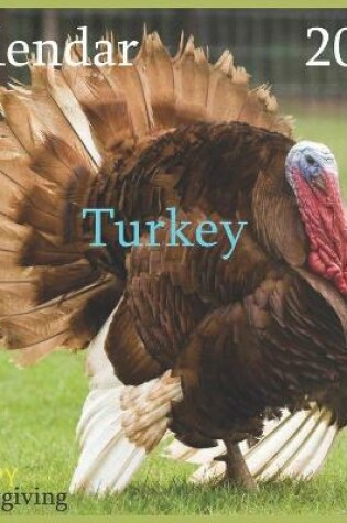 Cover of calendar Turkey