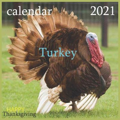 Book cover for calendar Turkey