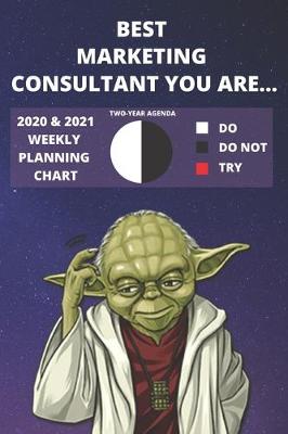 Book cover for 2020 & 2021 Two-Year Weekly Planner For Marketing Consultant Job - Funny Yoda Quote Appointment Book Gift - Two Year Agenda Notebook