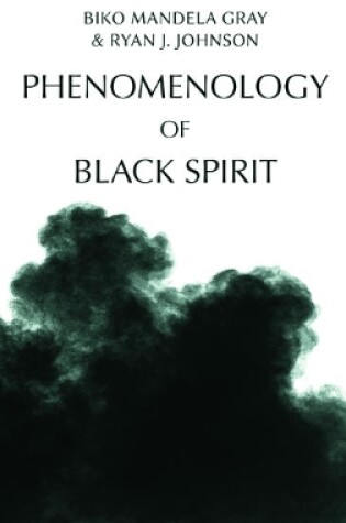 Cover of Phenomenology of Black Spirit