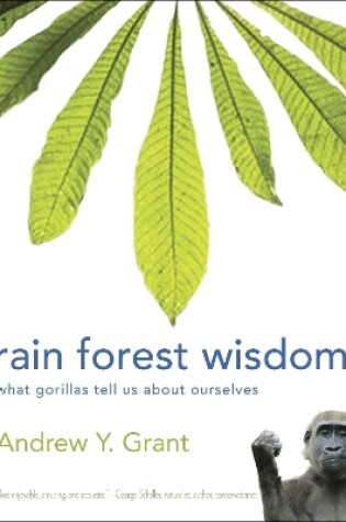 Cover of Rain Forest Wisdom