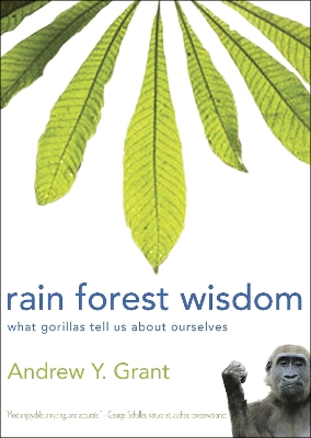 Book cover for Rain Forest Wisdom