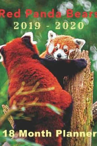 Cover of Red Panda Bears 2019 - 2020 18 Month Planner