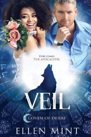 Cover of Veil