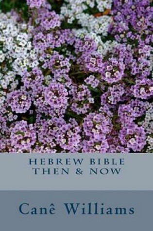 Cover of Hebrew Bible Then & Now