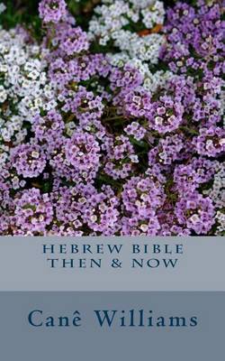 Cover of Hebrew Bible Then & Now