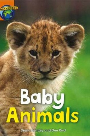 Cover of Fact World Stage 4: Baby Animals