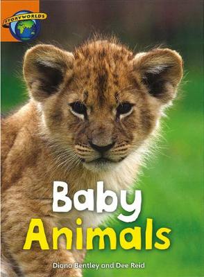 Cover of Fact World Stage 4: Baby Animals