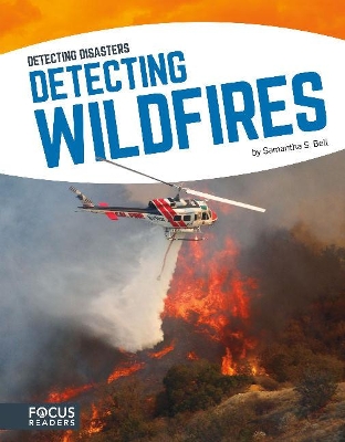 Book cover for Detecting Wildfires