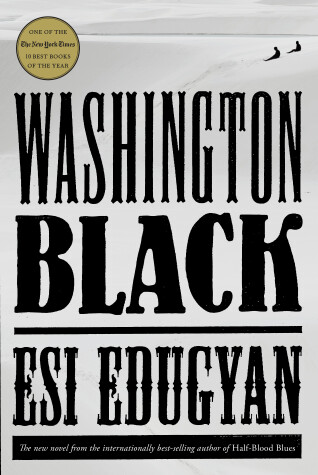 Book cover for Washington Black