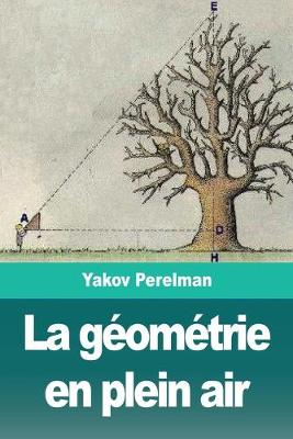 Book cover for La géométrie en plein air