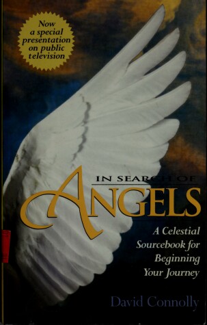 Book cover for In Search of Angels