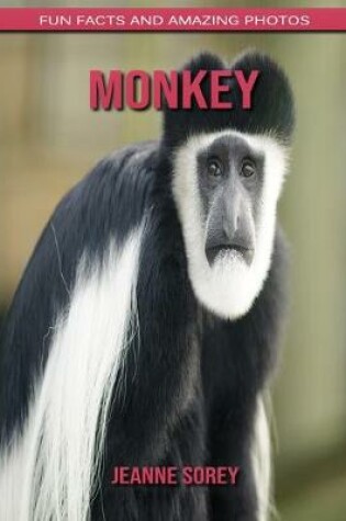 Cover of Monkey