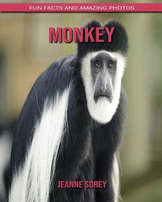 Book cover for Monkey